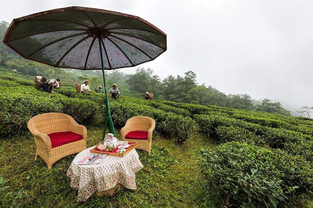 Гостевой дом Ging Tea House Дарджилинг Экстерьер фото