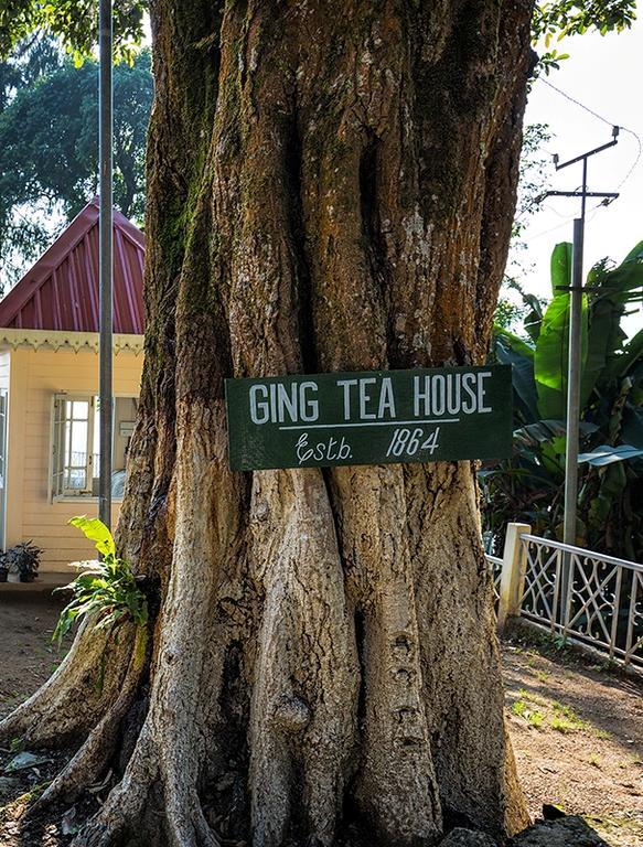 Гостевой дом Ging Tea House Дарджилинг Экстерьер фото